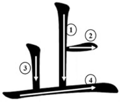 The Moderation Effect of Processing Efficiency on the Relationship Between Visual Working Memory and <mark class="highlighted">Chinese Character Recognition</mark>
